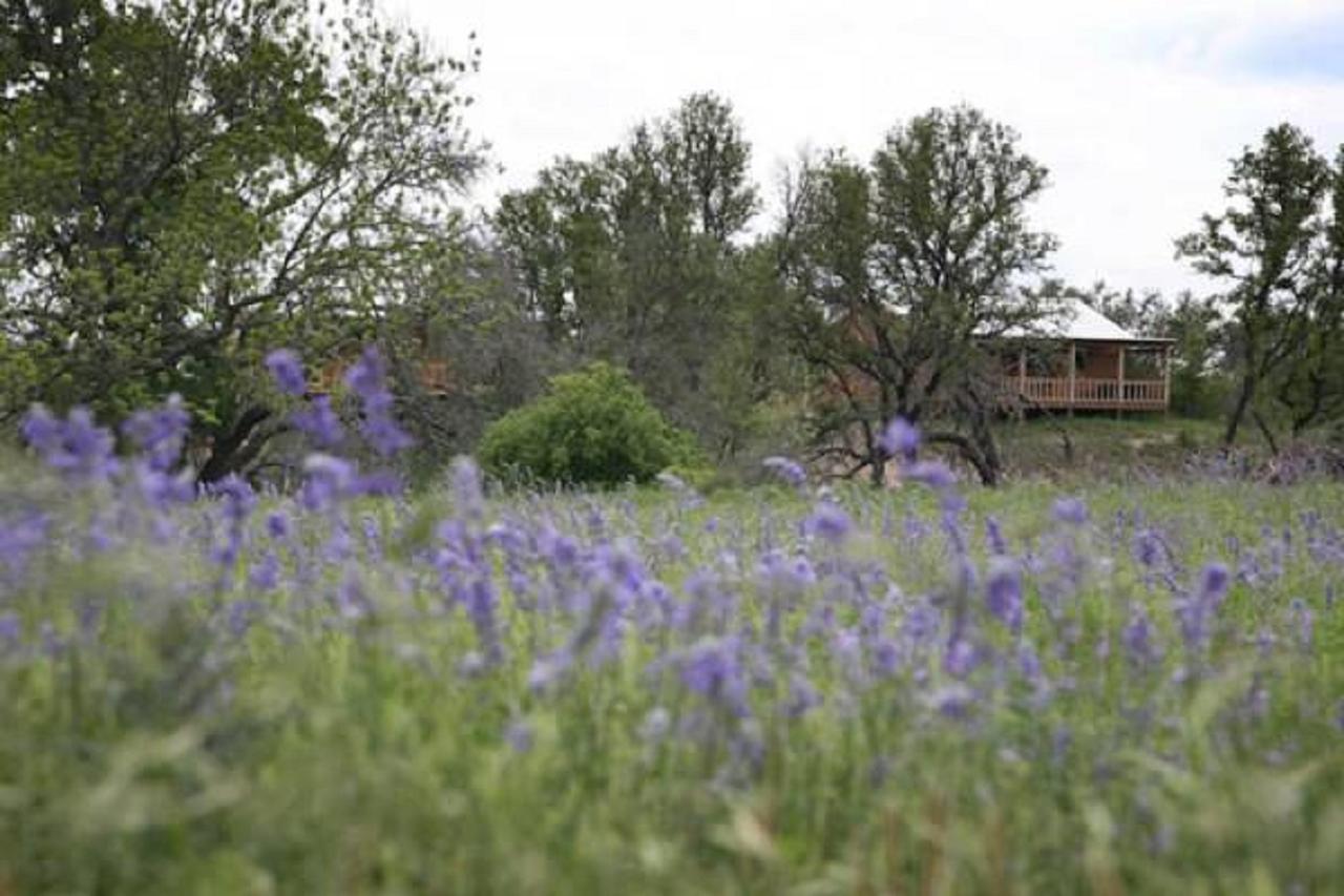 City On A Hill At Spring Creek Fredericksburg Luaran gambar