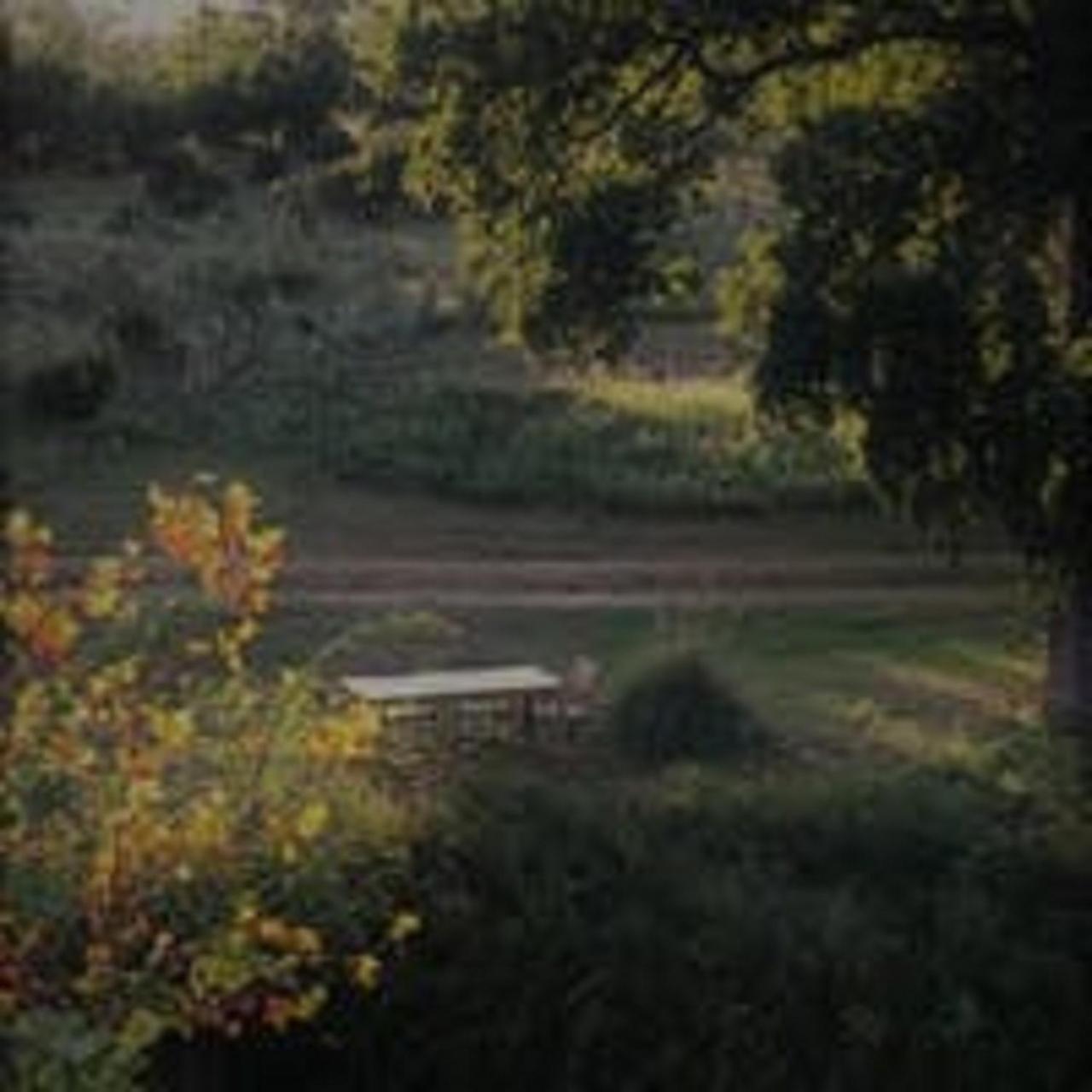City On A Hill At Spring Creek Fredericksburg Luaran gambar