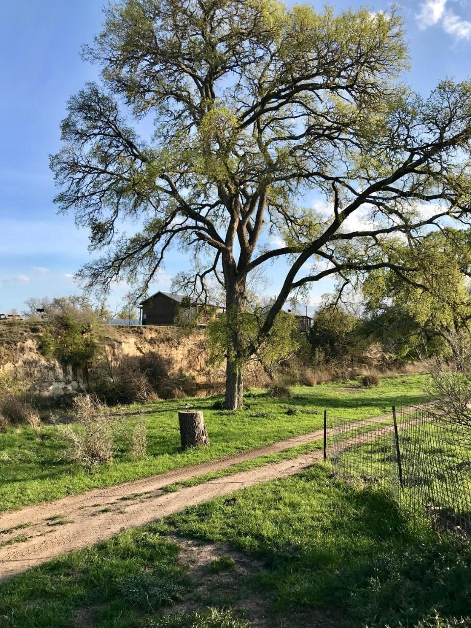City On A Hill At Spring Creek Fredericksburg Luaran gambar